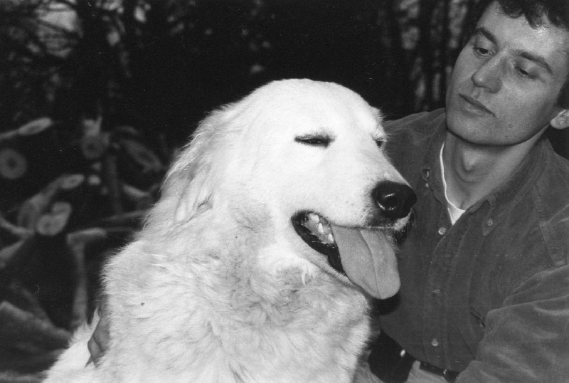 chiens nés a l'élevage